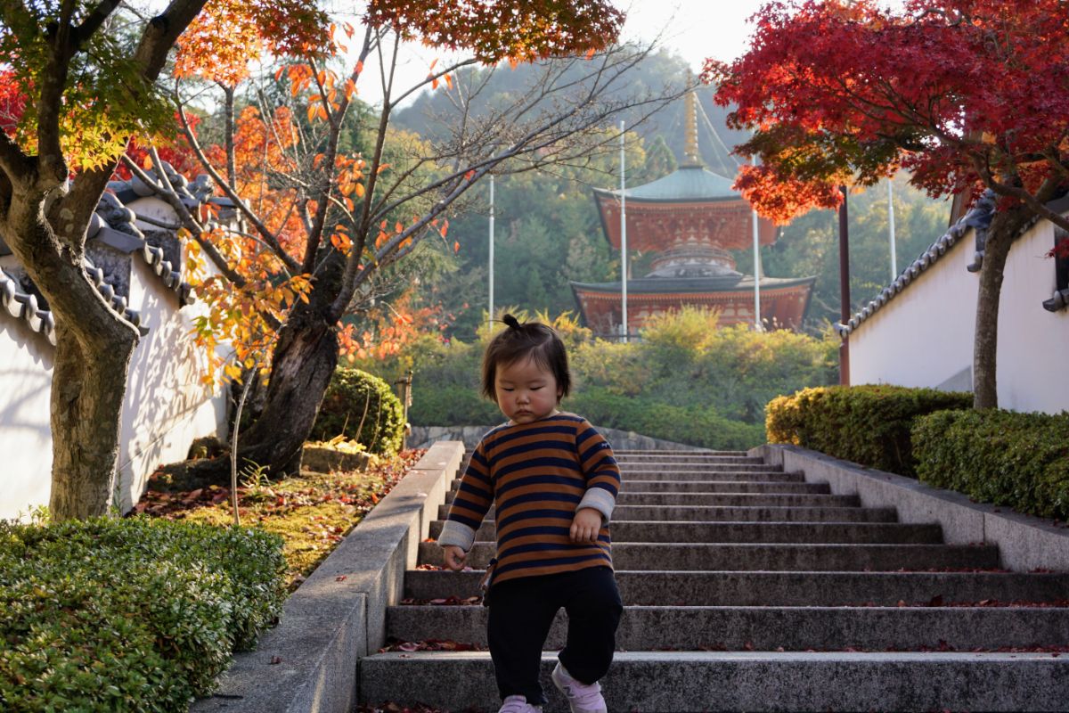 とある秋の日　紅葉と寺院を背景に階段を下りる三女